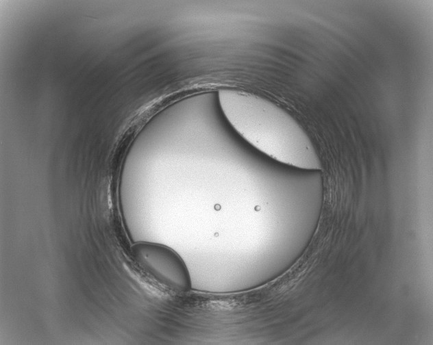 X0000061110302200511180941