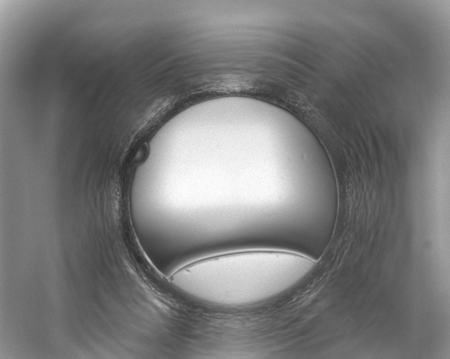 X0000061110304200511180941