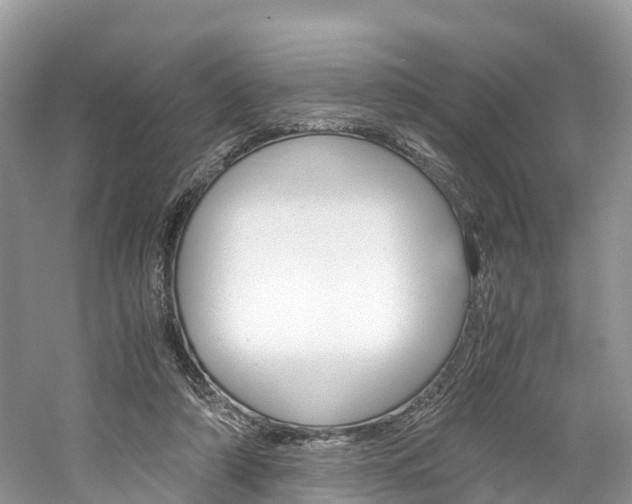 X0000061110306200511180941