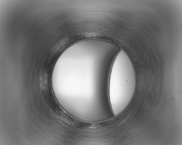 X0000061110308200511180941