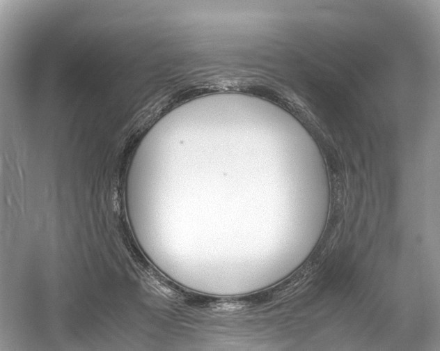 X0000061110313200511180941
