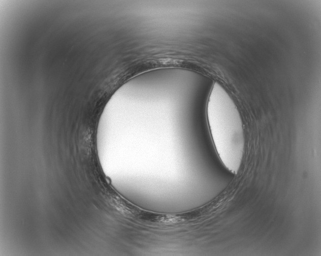 X0000061110321200511180941
