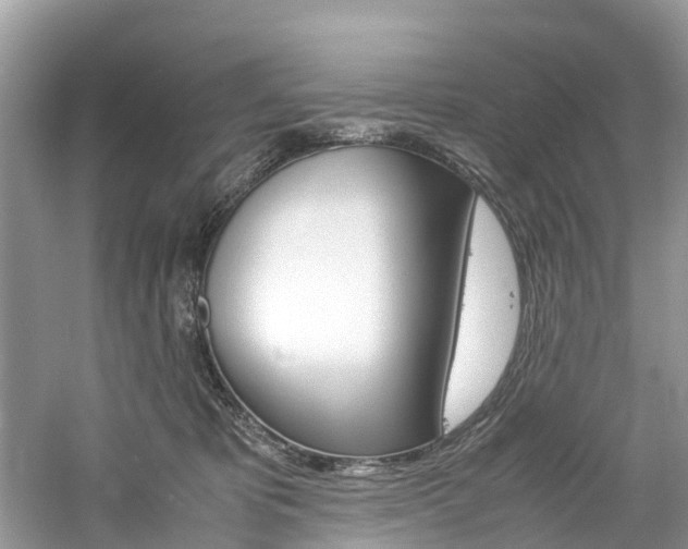 X0000061110325200511180941