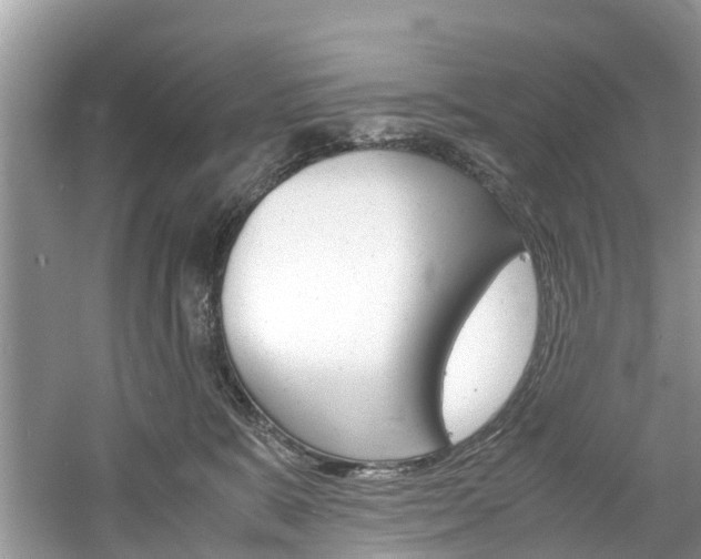 X0000061110327200511180941