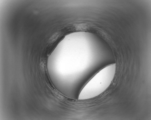 X0000061110329200511180941
