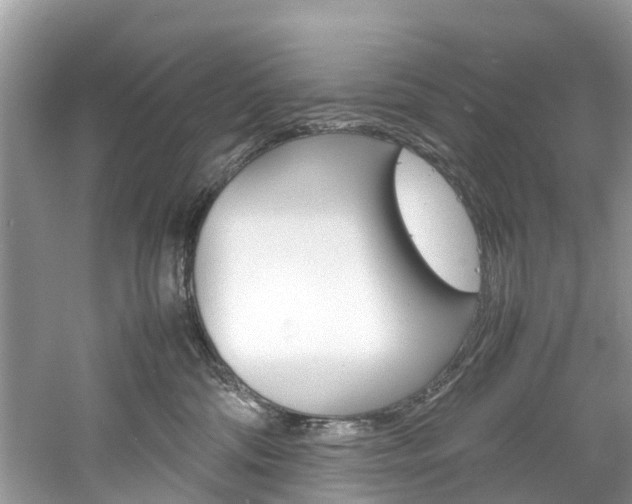 X0000061110330200511180941
