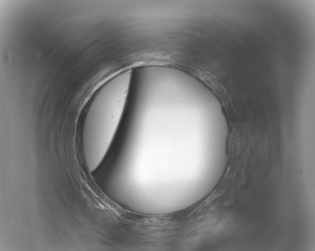 X0000061110338200511180940