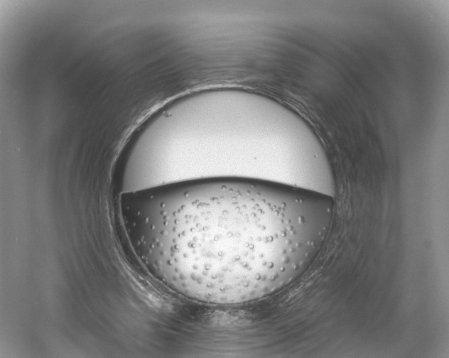 X0000061110346200511180940