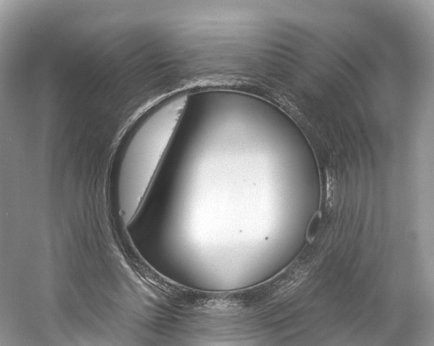 X0000061110348200511180940
