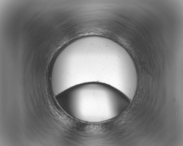 X0000061110354200511180940