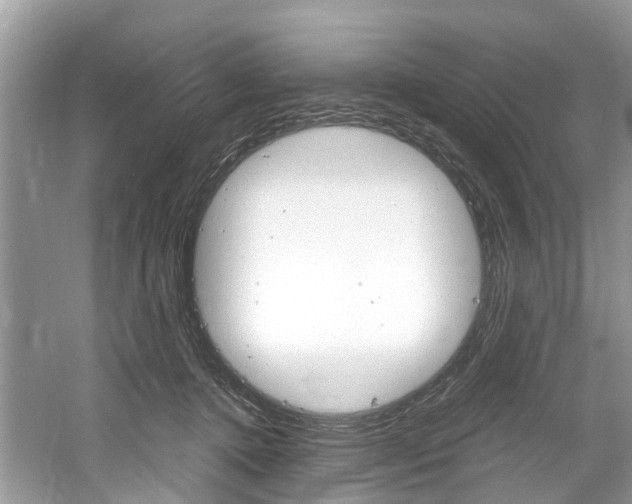 X0000061110368200511180940