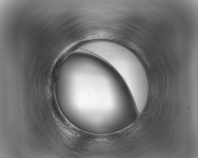 X0000061110392200511180940