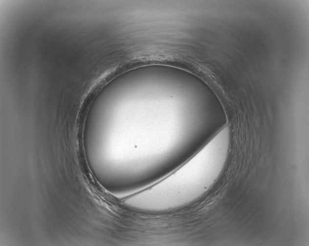 X0000061110395200511180940