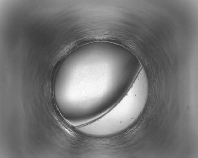 X0000061110397200511180940