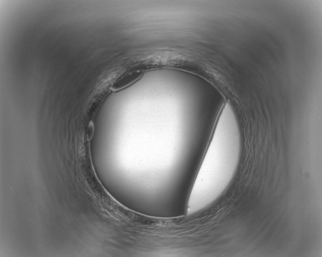X0000061110403200511180940