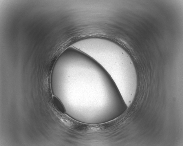 X0000061110405200511180939