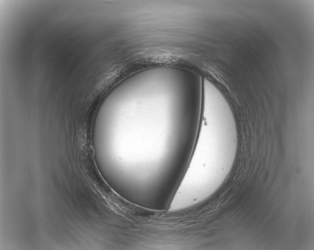 X0000061110407200511180939