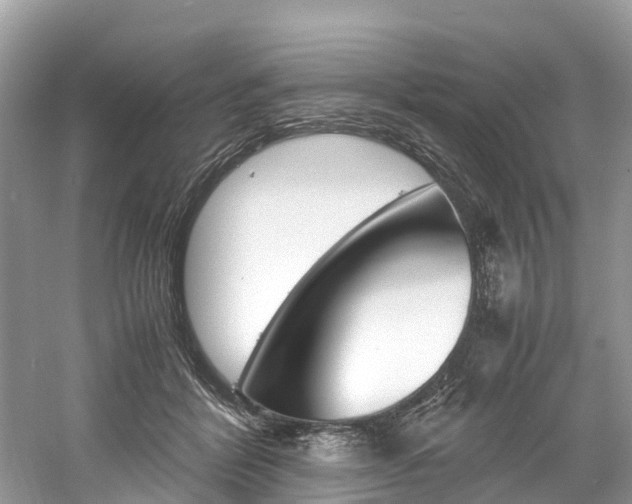 X0000061110412200511180939