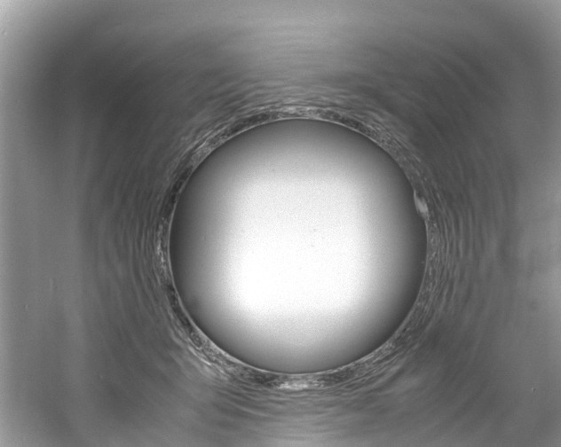 X0000061110415200511180939