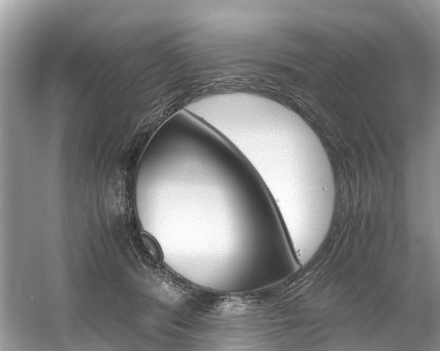 X0000061110416200511180939