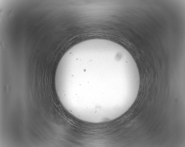 X0000061110421200511180939