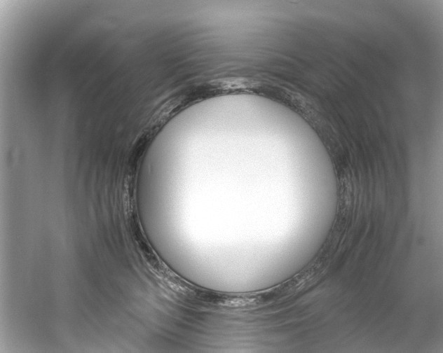 X0000061110422200511180939