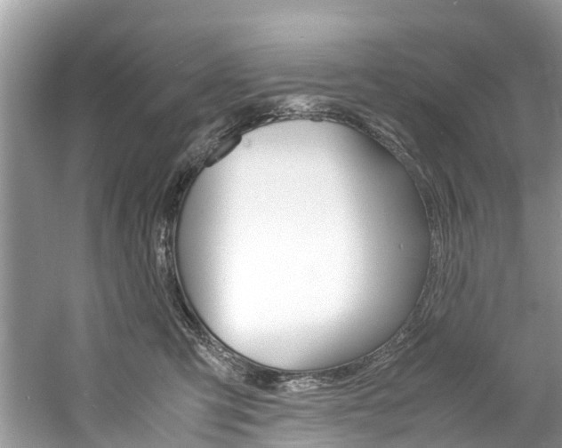 X0000061110423200511180939