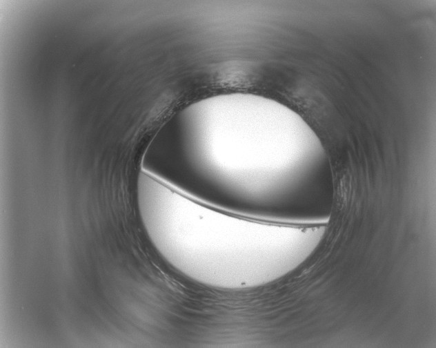 X0000061110424200511180939