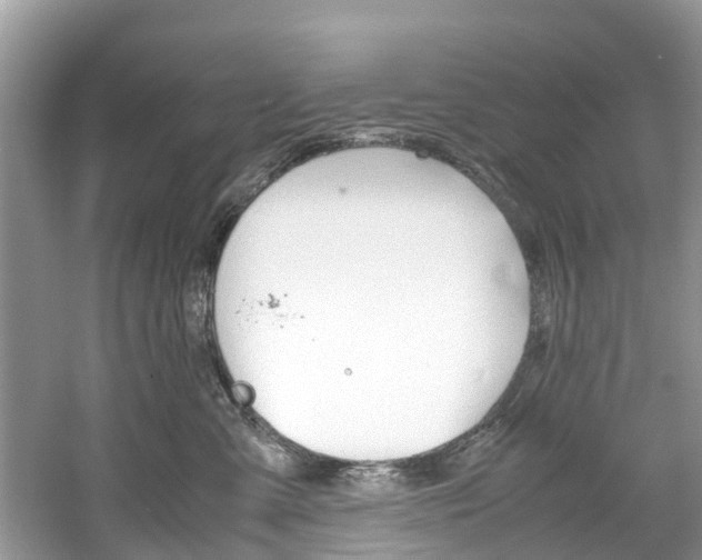 X0000061110427200511180939