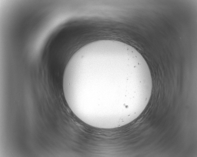 X0000061110431200511180939