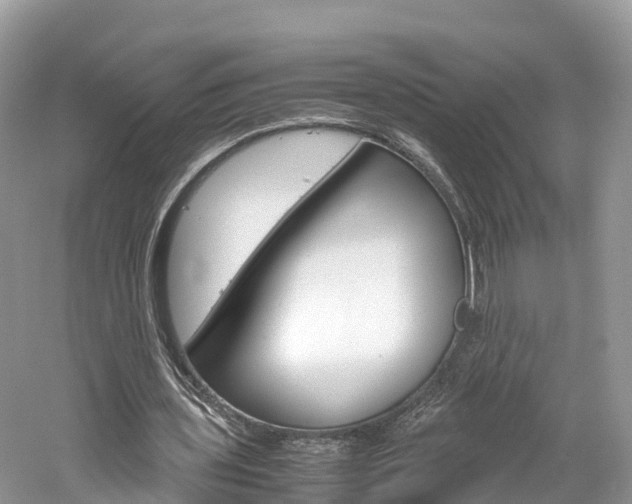 X0000061110435200511180938