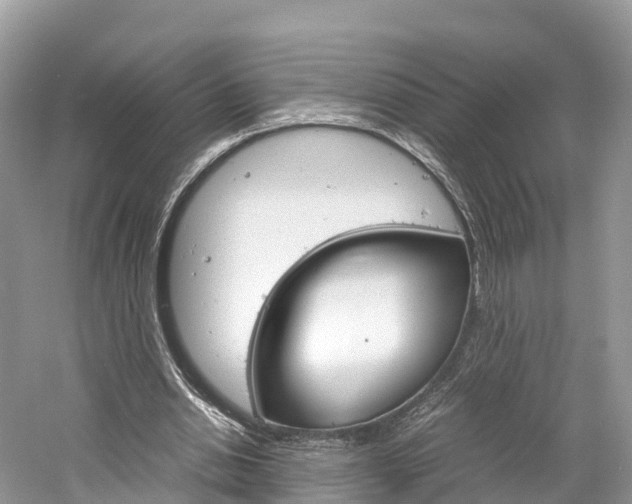 X0000061110438200511180938
