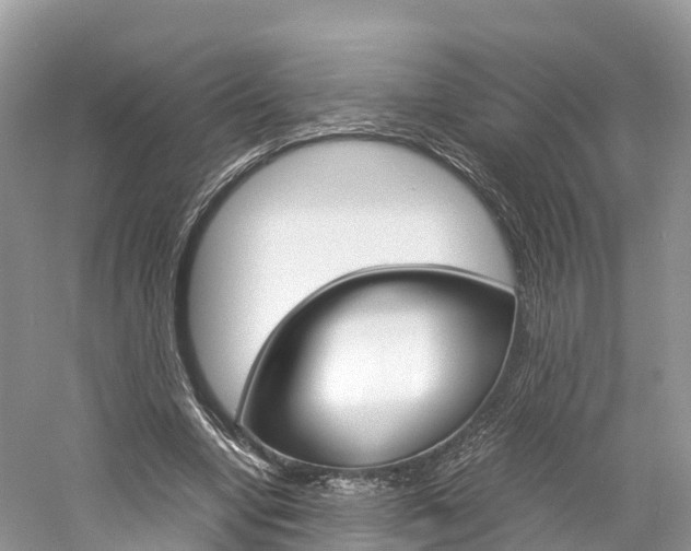 X0000061110442200511180938