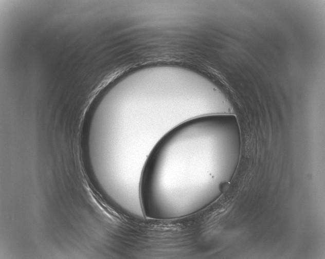 X0000061110443200511180938