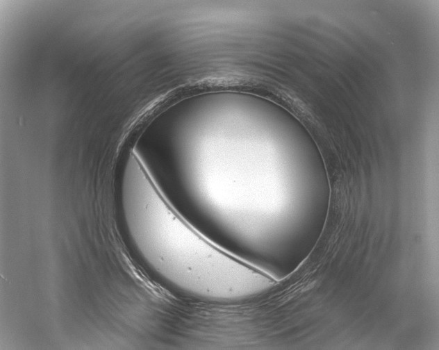 X0000061110446200511180938