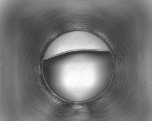 X0000061110453200511180939