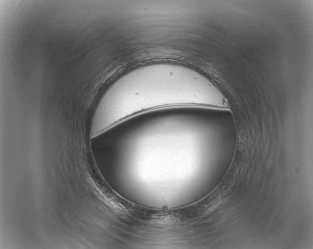 X0000061110454200511180939