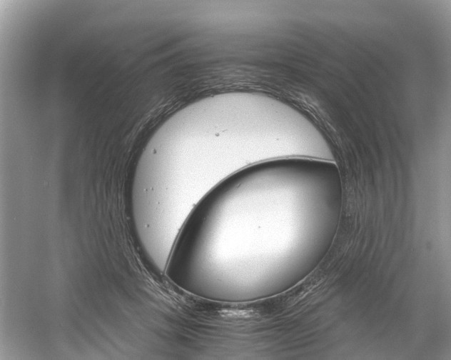 X0000061110457200511180939