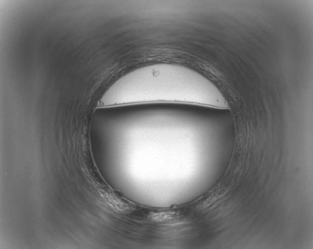 X0000061110461200511180939