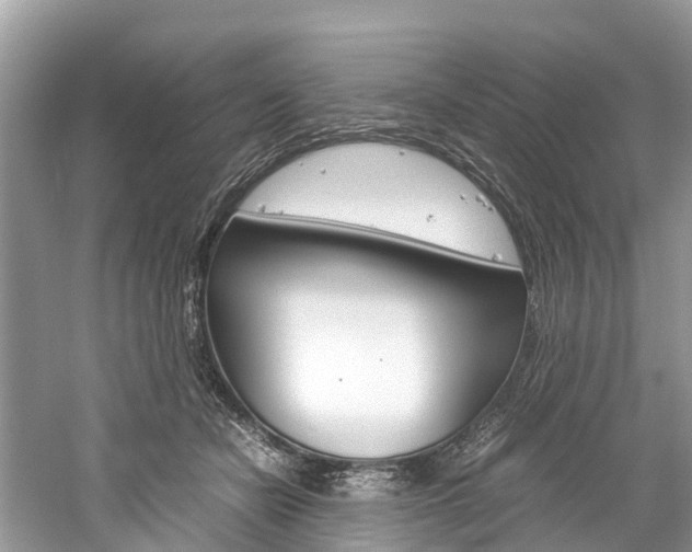 X0000061110462200511180939