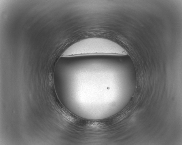 X0000061110467200511180939