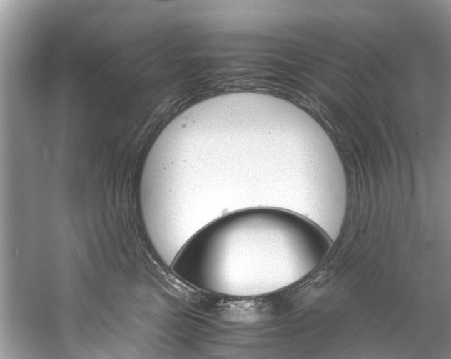 X0000061110473200511180939