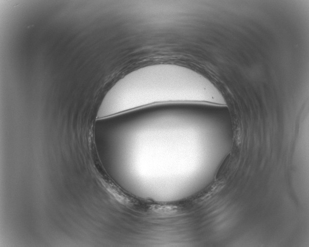 X0000061110476200511180939