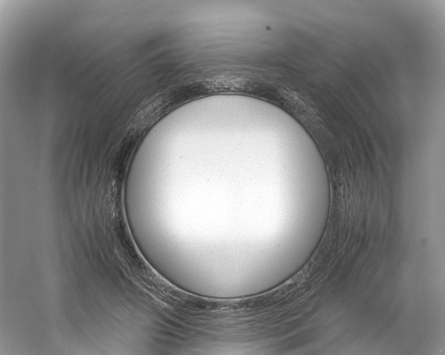 X0000061110498200511180938