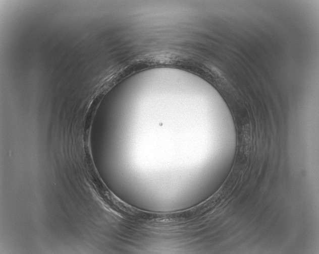 X0000061110500200511180938