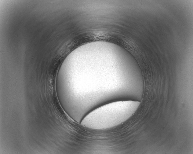 X0000061110506200511180938