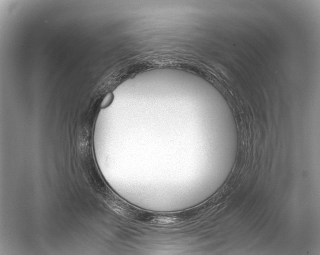 X0000061110507200511180938