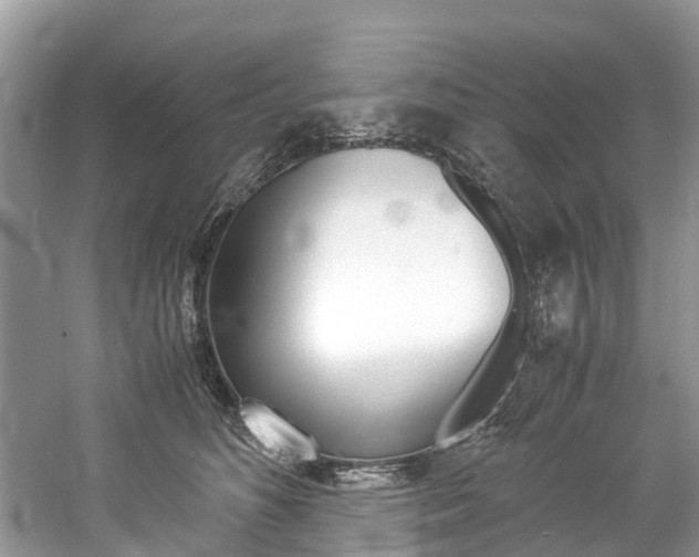 X0000061110516200511180938