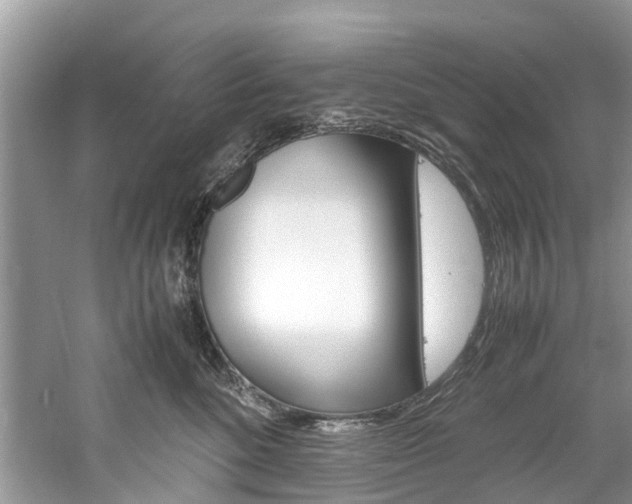 X0000061110520200511180938