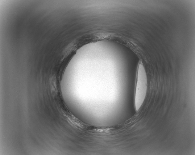 X0000061110524200511180937